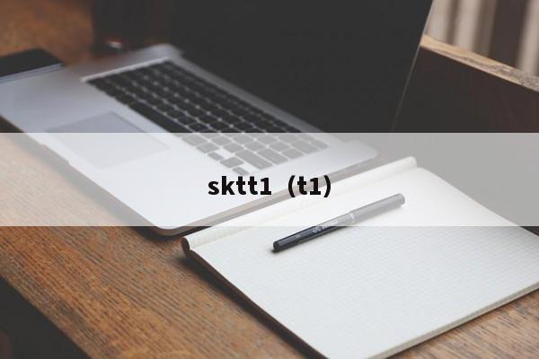 sktt1（t1）